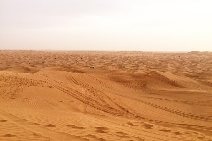 Experience the unique charms of the Arabian desert where you can enjoy dune bashing sand boarding and a serene camel ride across the stunning Red Dunes. Adventure awaits!